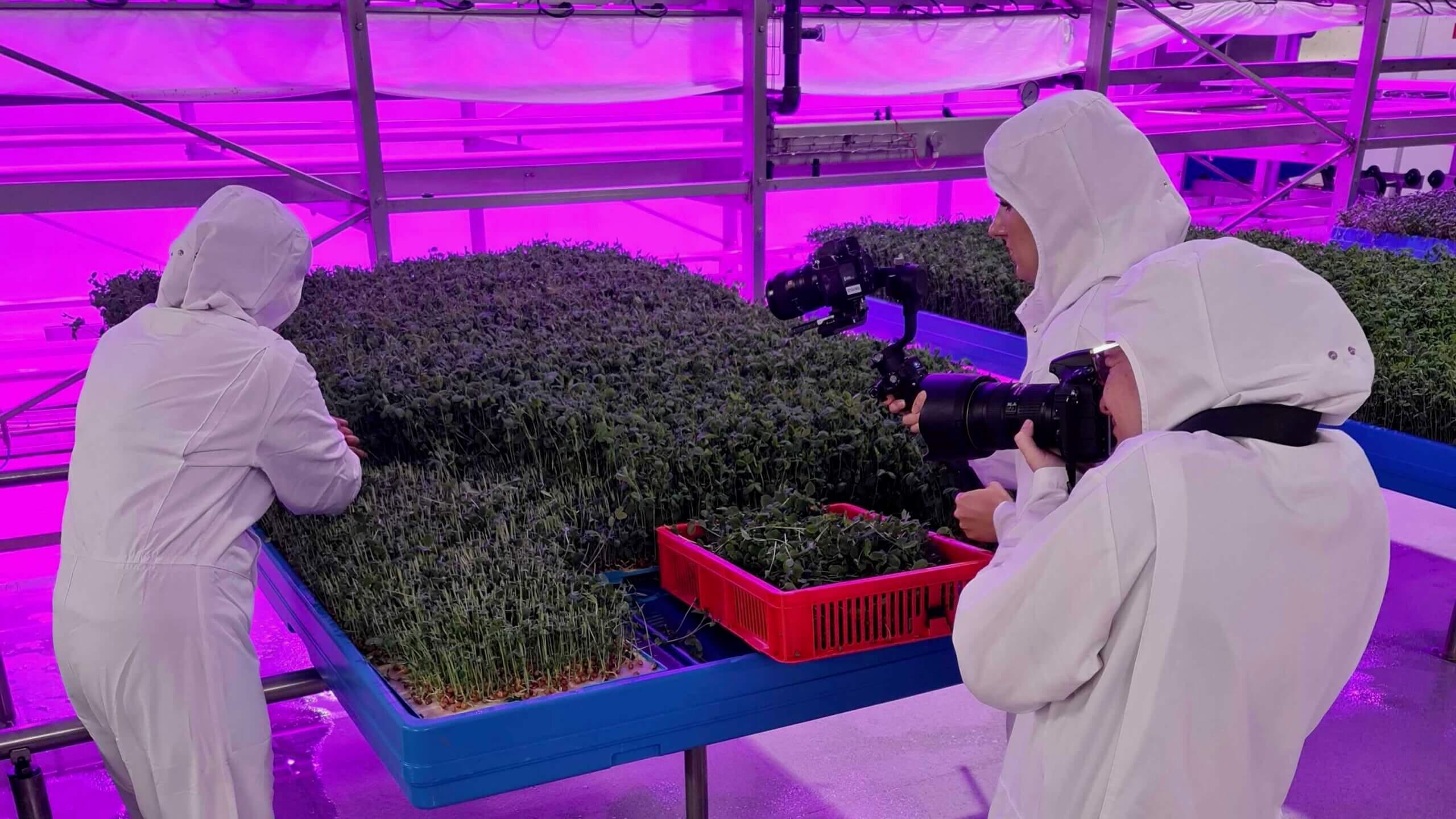 three people in vertical farm as part of a photography shoot