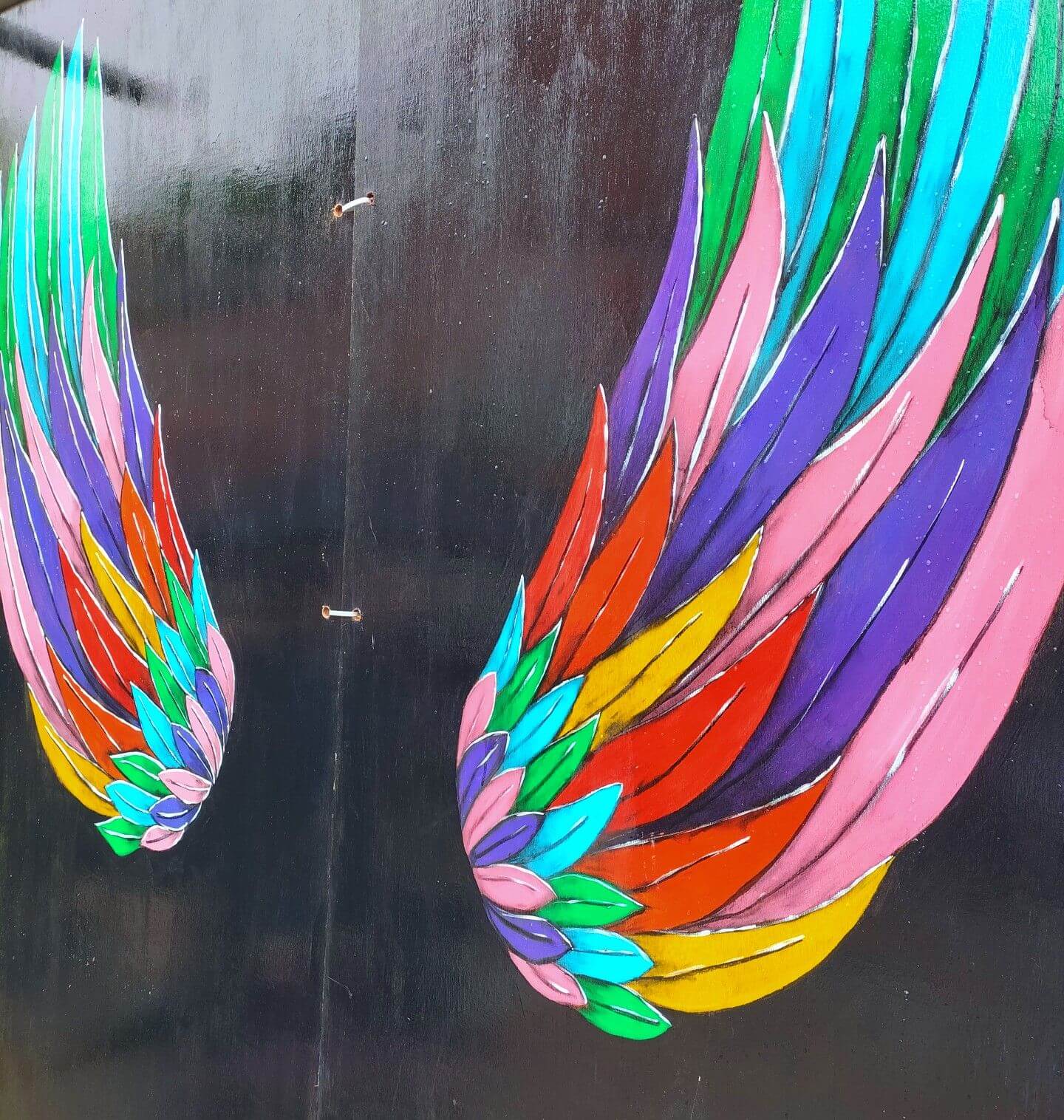 congleton pride wings