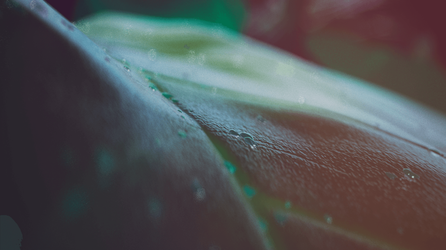 TMC Strategic Communications